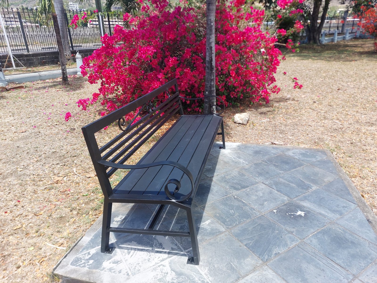 20241119 124819 copy